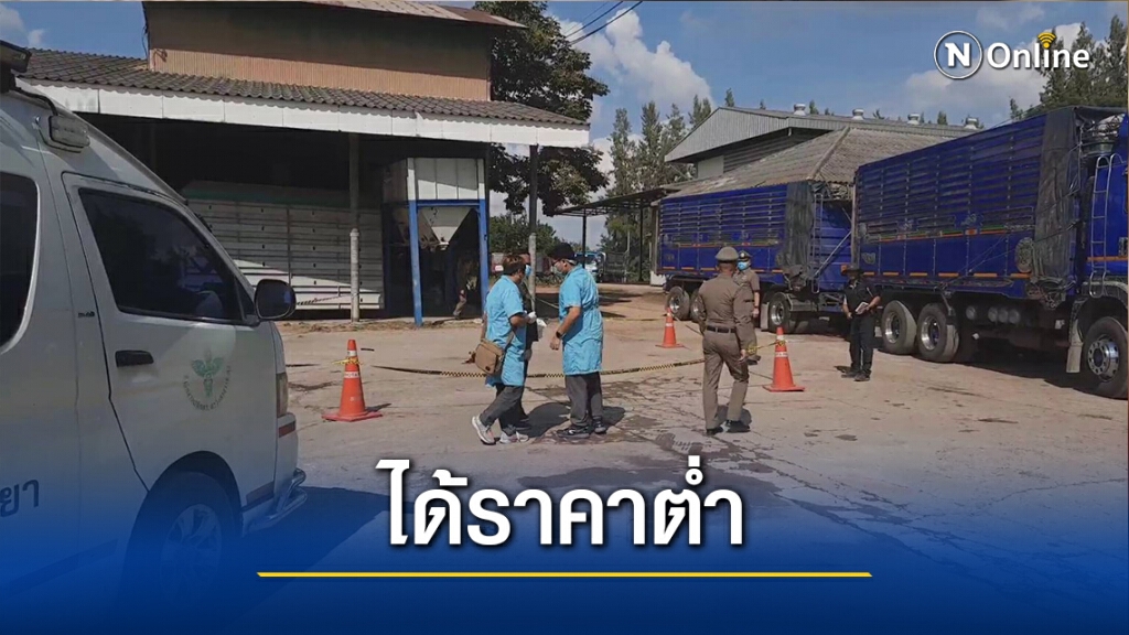 ชาวนาพะเยาไม่พอใจข้าวราคาต่ำ-ยิงผู้แจ้งดับ
