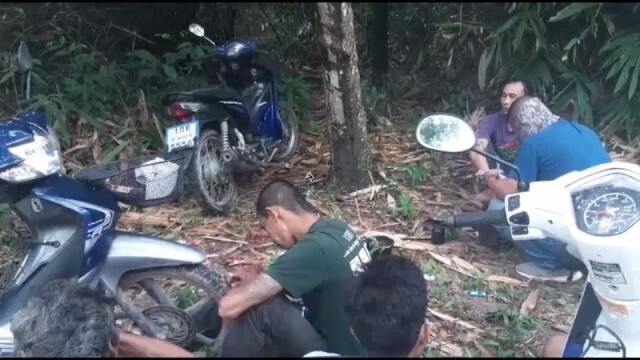 บุกจับนักค้ายาในสวนยางพารา