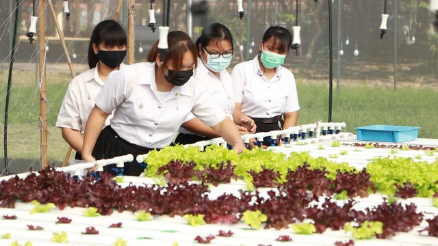 มข.นำเทคนิคแบบอิสราเอลสร้างโรงเรือนปลูกพืชระบบน้ำ