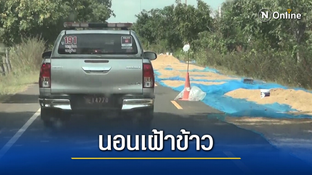ชาวนาผวานอนเฝ้าข้าวเปลือกหวั่นโดนขโมยซ้ำ
