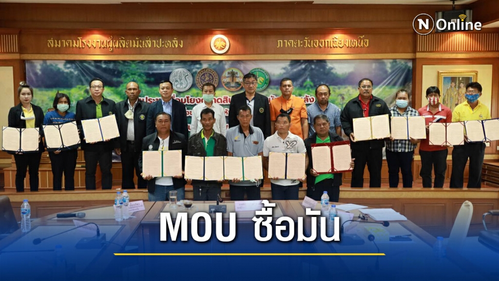พาณิชย์จับมือโรงแป้ง ลงนาม MOU  การันตีซื้อขายมันสำปะหลัง