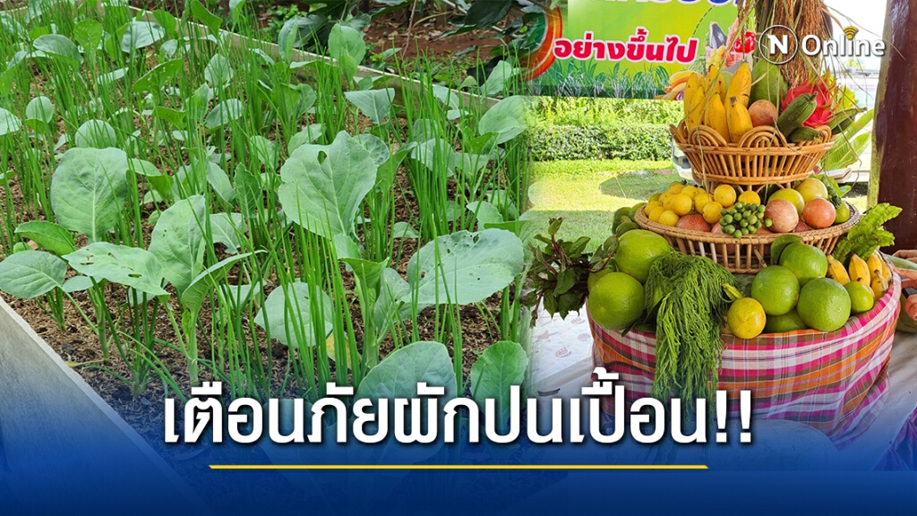 สร้างระบบเตือนภัยผู้บริโภค หลังผักผลไม้ยังเปื้อนสารเคมีสูง