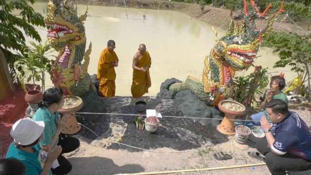 ชาวลำปางตื่น! รอยปริศนาคล้ายงูใหญ่