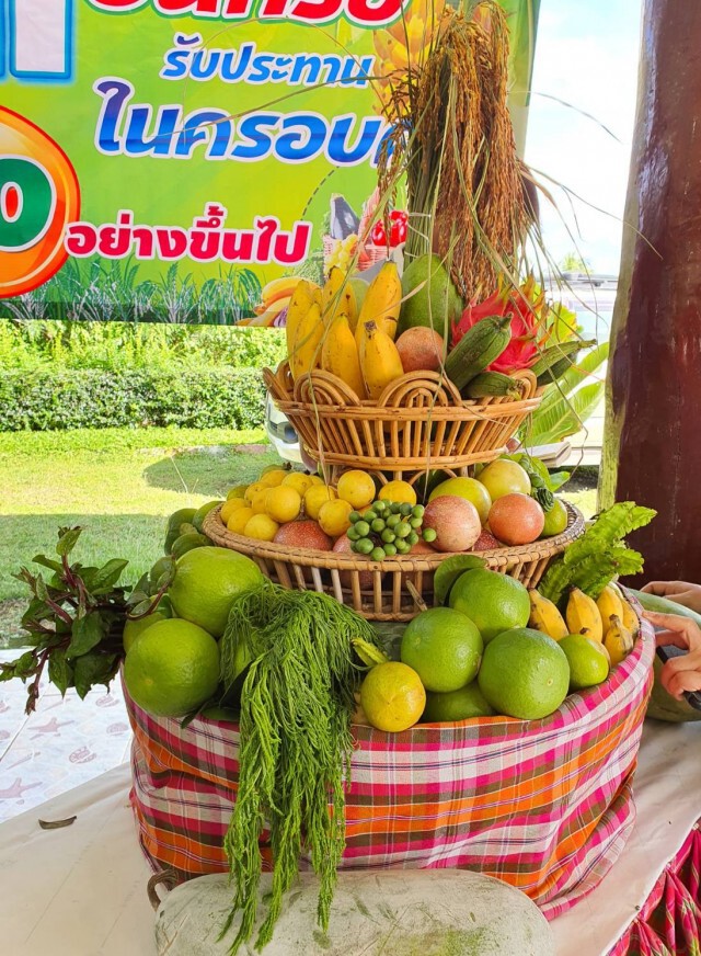 สร้างระบบเตือนภัยผู้บริโภค หลังผักผลไม้ยังเปื้อนสารเคมีสูง