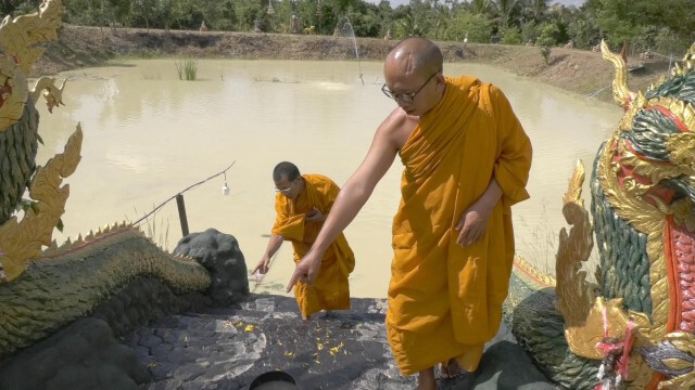 ชาวลำปางตื่น! รอยปริศนาคล้ายงูใหญ่