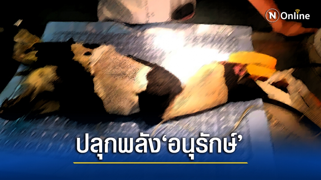 ชาวเกาะช้าง ปลุกพลัง "นกเงือก ตัองไม่ตายฟรี" ชาวเกาะช้าง ปลุกพลัง "นกเงือก ตัองไม่ตายฟรี"