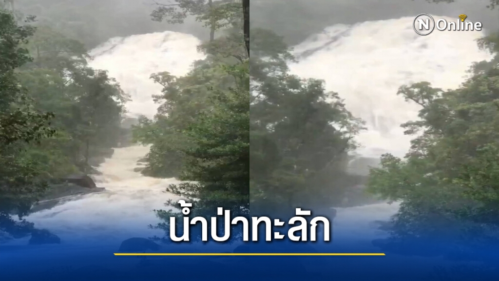 ด่วน.! น้ำป่าทะลัก สั่งปิด "น้ำตกไพรวัลย์" พัทลุง ด่วน.! น้ำป่าทะลัก สั่งปิด "น้ำตกไพรวัลย์" พัทลุง