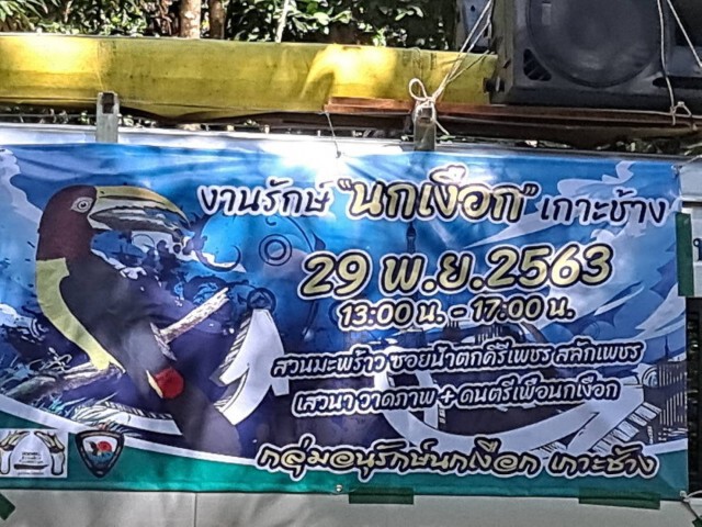 ชาวเกาะช้าง​ ปลุกพลัง "นกเงือก ตัองไม่ตายฟรี"