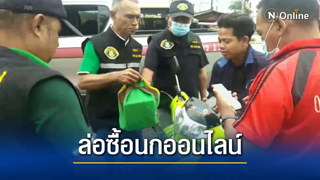 ล่อซื้อ "นกหกเล็กปากดำ" ขายผ่านเฟสบุ๊ค ล่อซื้อ "นกหกเล็กปากดำ" ขายผ่านเฟสบุ๊ค