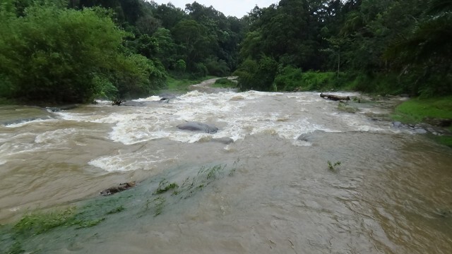 น้ำท่วมตรังเริ่มลดระดับ แต่ยังสั่งปิดน้ำตกทั้ง 5 อำเภอ