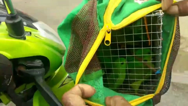 ล่อซื้อ "นกหกเล็กปากดำ" ขายผ่านเฟสบุ๊ค