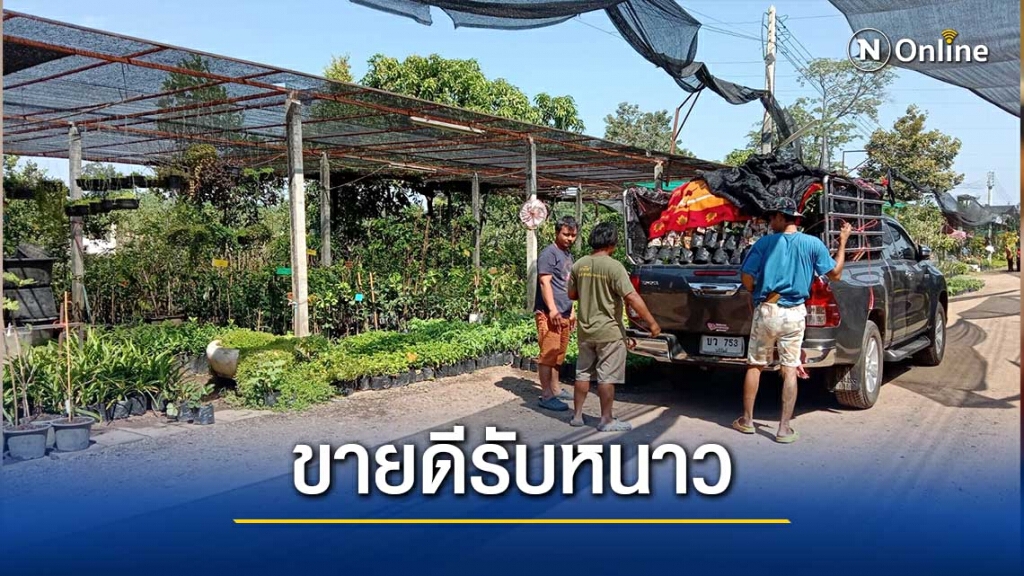 ตลาดดอกไม้โคราชคึกคักรับลมหนาว ตลาดดอกไม้โคราชคึกคักรับลมหนาว