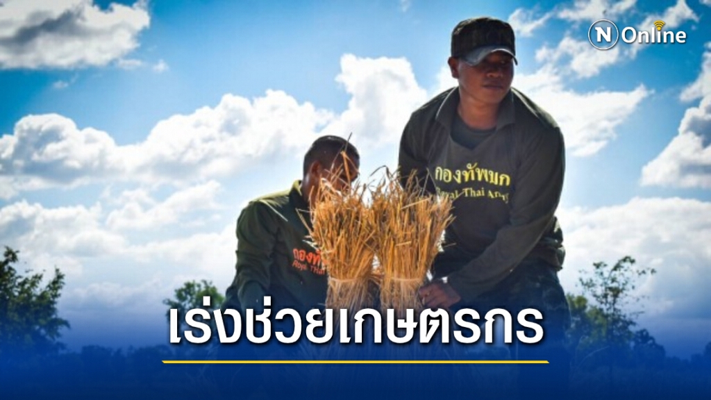ทบ. ส่งทหารช่วยเกษตรกรเกี่ยวข้าวกว่า 4 เเสน กก. ทบ. ส่งทหารช่วยเกษตรกรเกี่ยวข้าวกว่า 4 เเสน กก.