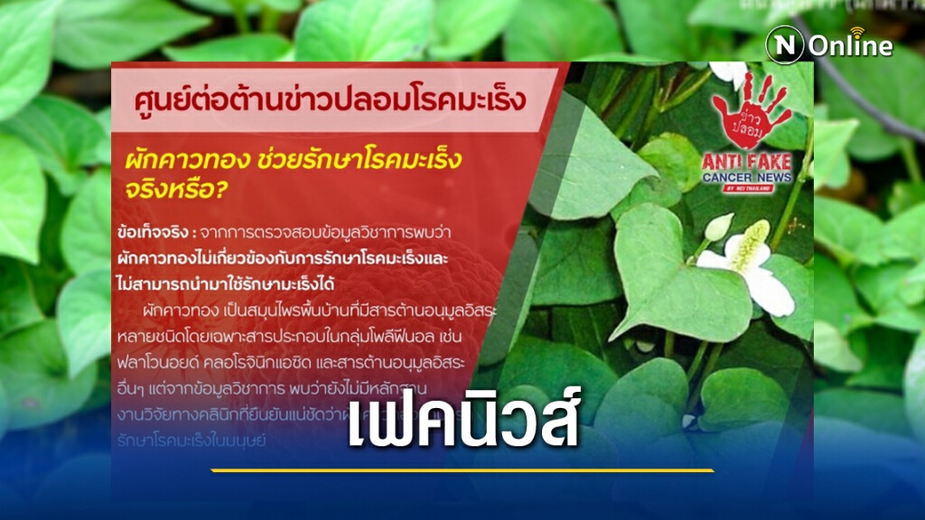 สถาบันมะเร็งฯ เตือนข่าวปลอม "ผักคาวทองรักษาโรคมะเร็ง"