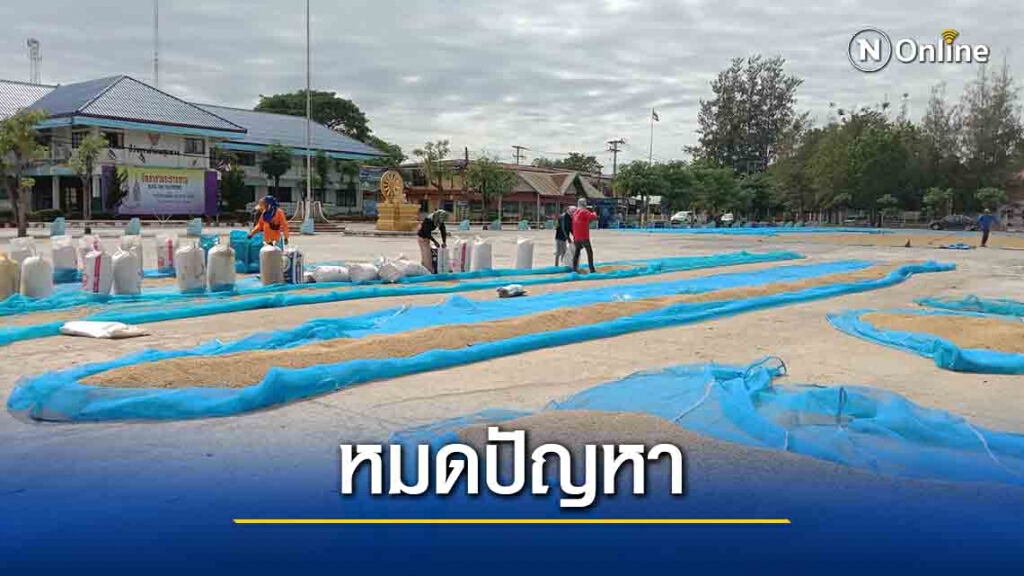 หมดปัญหาโจรขโมย หอบข้าวตากหน้าที่ว่าการอำเภอ