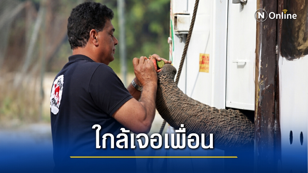 ปิดตำนาน'โฮมอะโลน'เวอร์ชั่นช้าง ปิดตำนาน'โฮมอะโลน'เวอร์ชั่นช้าง