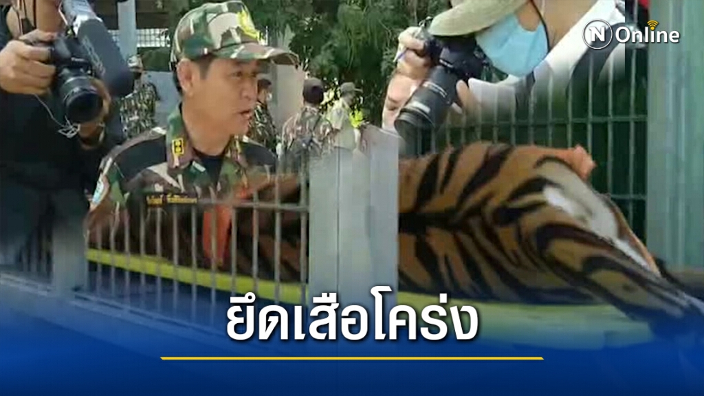บุกตรวจยึดเสือโคร่ง 5 ตัวในมุกดาสวนเสือและฟาร์ม บุกตรวจยึดเสือโคร่ง 5 ตัวในมุกดาสวนเสือและฟาร์ม