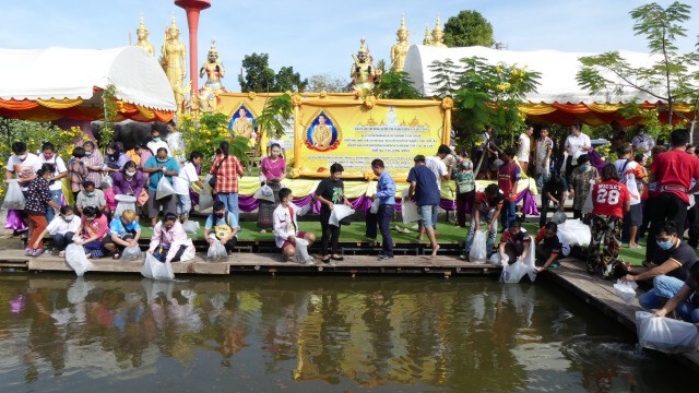 นอภ.บางไทรร่วม"ฤาษีเณร"ปล่อยพันธุ์สัตว์น้ำเฉลิมพระเกียรติ