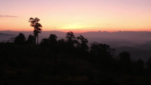 คึกคัก !!แห่ชมทะเลหมอก-แห่ชมพระอาทิตย์ขึ้นที่ผาสะโตก