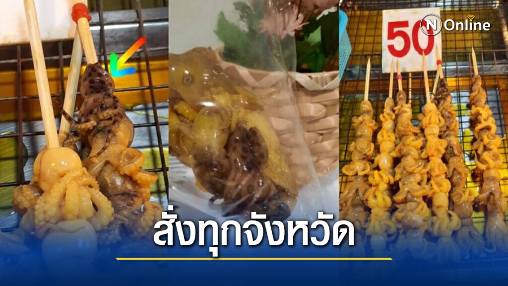 "ปลัดจตุพร"สั่ง"กรมทะเล"แจ้งด่วนทุกจังหวัด กินหมึกบลูริงพิษถึงตาย