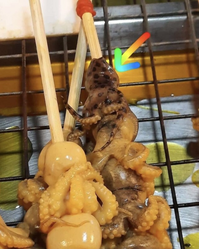 "ปลัดจตุพร"สั่ง"กรมทะเล"แจ้งด่วนทุกจังหวัด กินหมึกบลูริงพิษถึงตาย