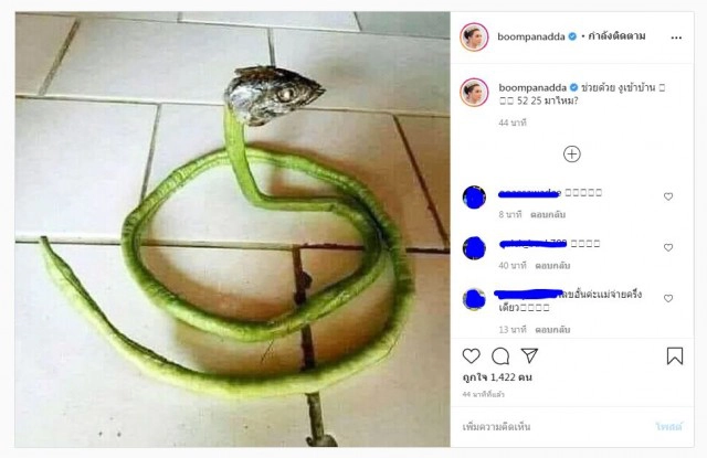 เลขเด็ด'เจ้าแม่บุ๋ม'บอก งูเข้าบ้าน