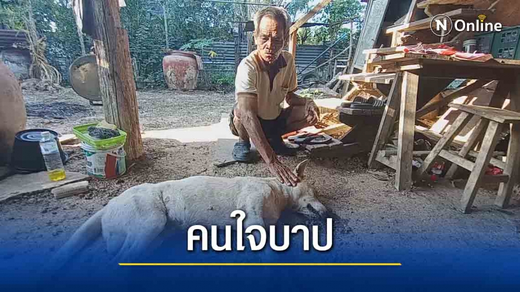 ตร.หาเบาะแสคนใจบาปวางยาพิษหมา-แมว-นกเอี้ยง ตายเรียบ ตร.หาเบาะแสคนใจบาปวางยาพิษหมา-แมว-นกเอี้ยง ตายเรียบ
