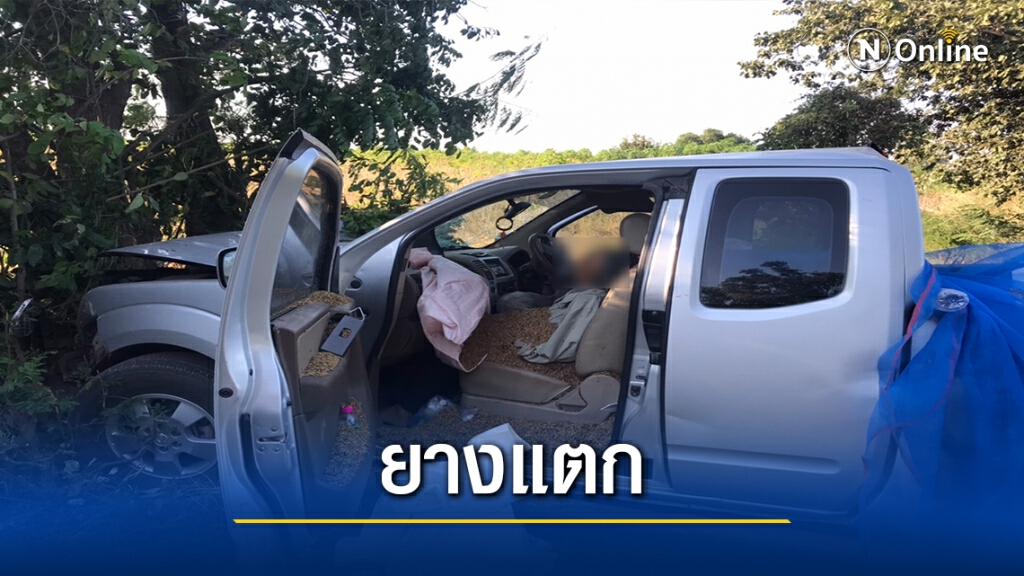 2สามี-ภรรยาขนข้าวไปใส่ยุ้ง รถยางแตกชนต้นไม้ดับทั้งคู่