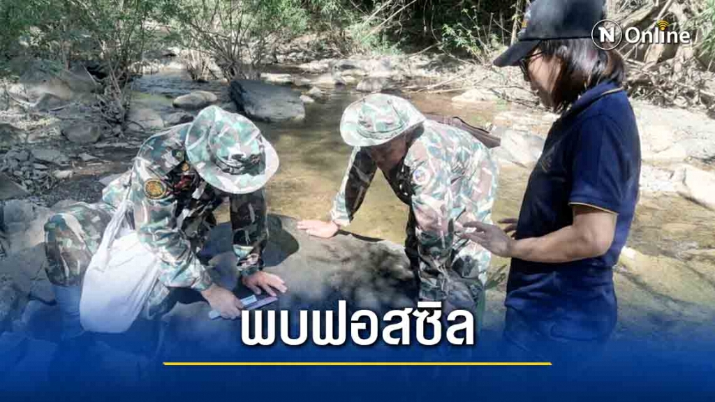 พบรอยตีน-ฟอสซิลคล้ายชิ้นส่วนซากสัตว์ดึกดำบรรพ์