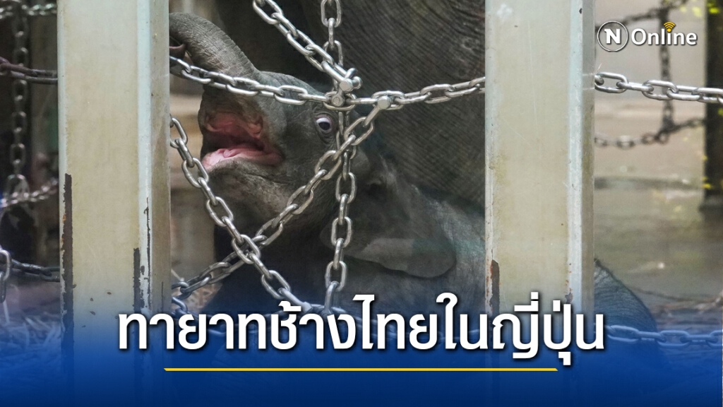เปิดตัวทายาท " พลายอาทิตย์ " แห่งโตเกียว เปิดตัวทายาท " พลายอาทิตย์ " แห่งโตเกียว