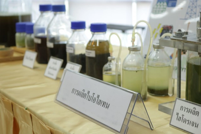 นักวิจัย มข.วิจัยชีวมวลสาหร่ายผลิตพลังงานสะอาด "ไฮเทน"