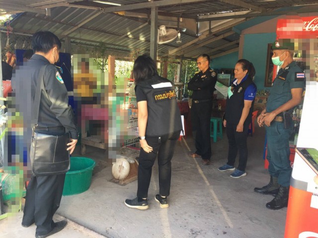 ปศุสัตว์บุกจับผู้ลักลอบฆ่าวัว-หมูเถื่อน