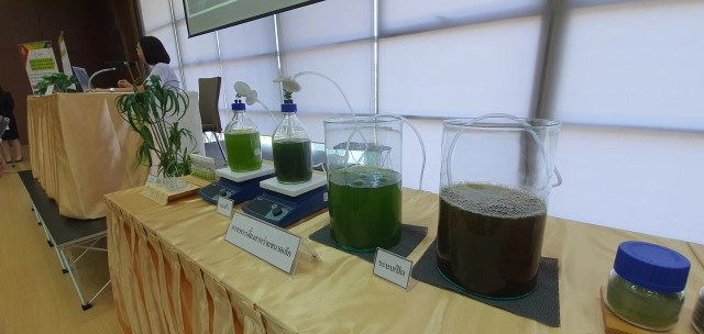 นักวิจัย มข.วิจัยชีวมวลสาหร่ายผลิตพลังงานสะอาด "ไฮเทน"