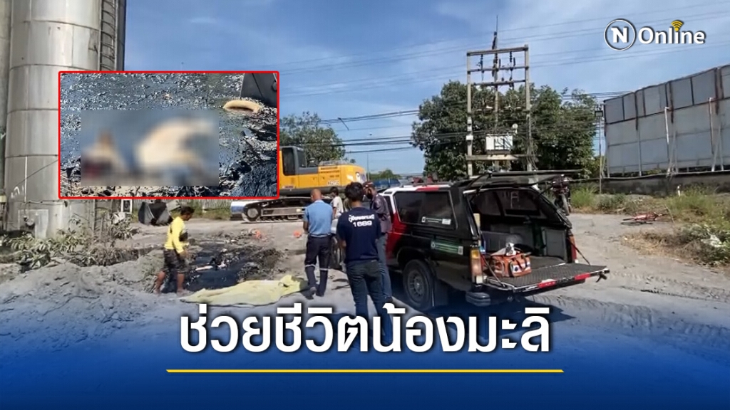 อาสากู้ภัยเร่งช่วยมะลิหมาน้อยวัย 1 ปีจมบ่อยางมะตอย อาสากู้ภัยเร่งช่วยมะลิหมาน้อยวัย 1 ปีจมบ่อยางมะตอย