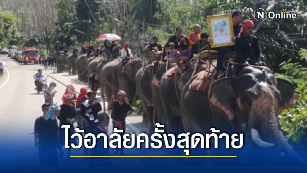 ไว้อาลัยครั้งสุดท้าย เสี่ยเจ้าของฟาร์มช้าง จัดช้าง 19 เชือก แห่ศพภรรยา ระยะทางกว่า 3 กิโลเมตร ไว้อาลัยครั้งสุดท้าย เสี่ยเจ้าของฟาร์มช้าง จัดช้าง 19 เชือก แห่ศพภรรยา ระยะทางกว่า 3 กิโลเมตร