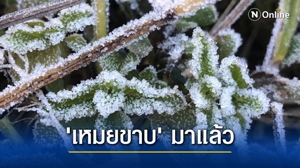 หนาวยะเยือก! น้ำค้างแข็งแรกโผล่แล้ว หนาวยะเยือก! น้ำค้างแข็งแรกโผล่แล้ว