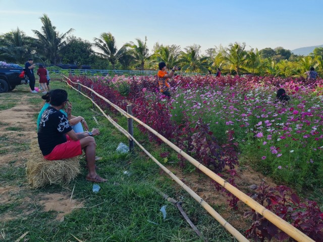 วันหยุดยาวนนท.แห่เที่ยววังน้ำเขียว เงินสะพัด10ล.