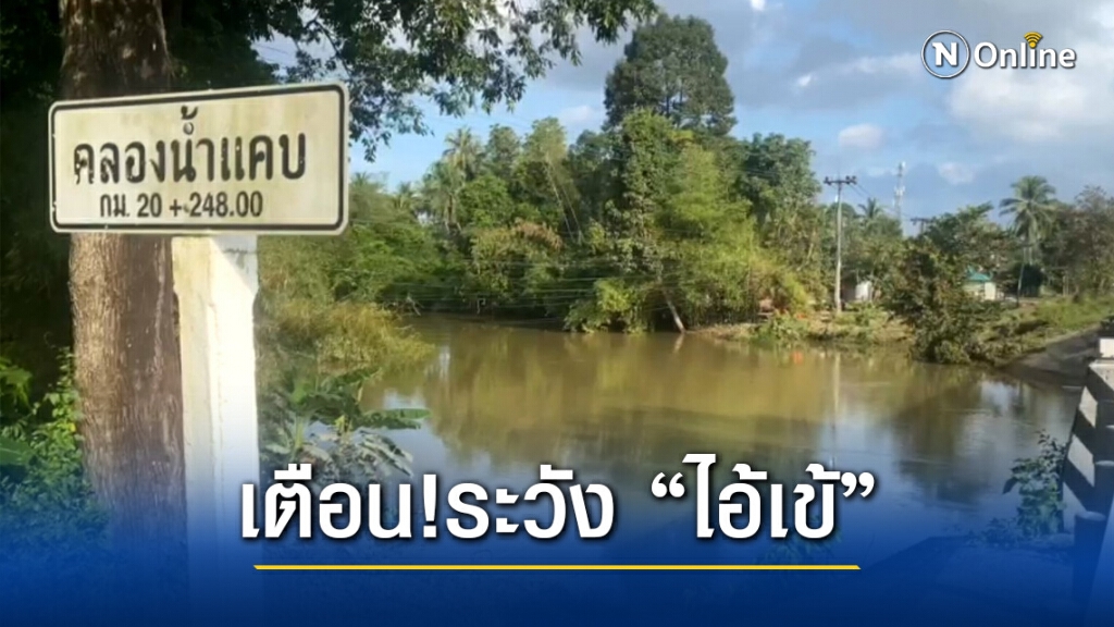 รอดหวุดหวิด! "ไอ้เข้" ขนาดใหญ่ 3 ตัวโผล่ไล่กัดชาวบ้านเมืองคอน