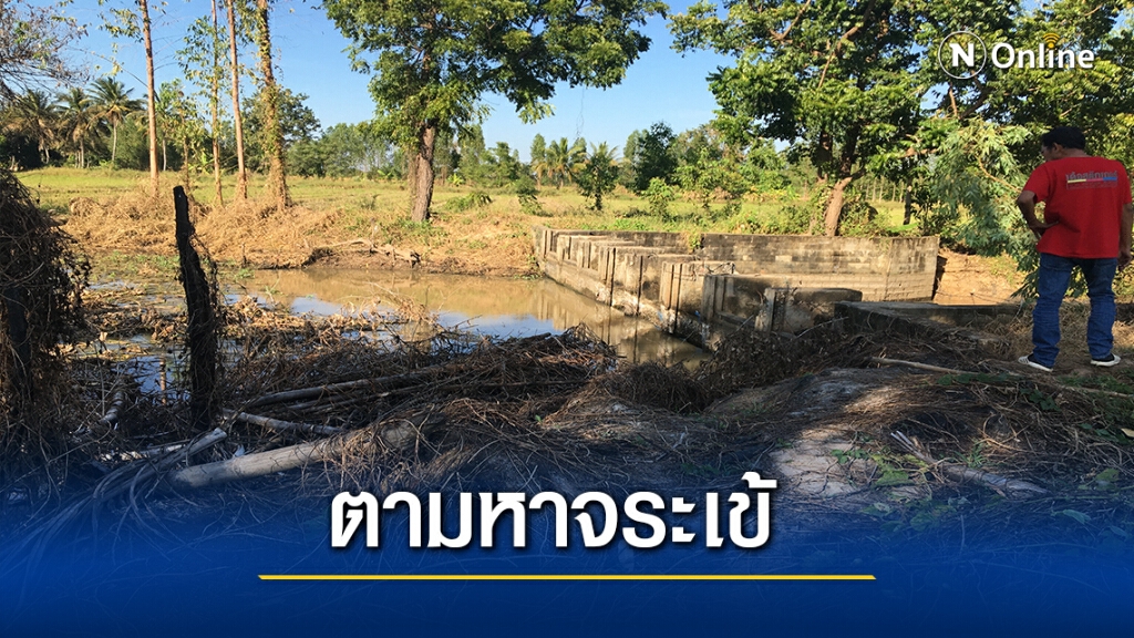 ชาวบ้านผวา เจอจระเข้ตัวยาวกว่า3 เมตรโผล่อาบแดด ชาวบ้านผวา เจอจระเข้ตัวยาวกว่า3 เมตรโผล่อาบแดด