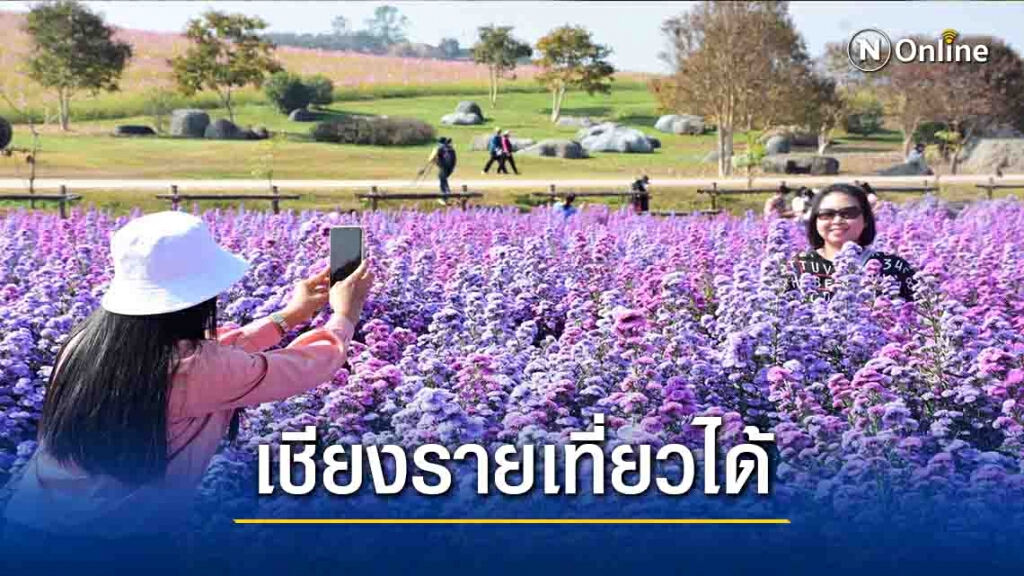 ประเดิมเที่ยวไร่สิงห์ปาร์ค-ยันเชียงรายเที่ยวได้