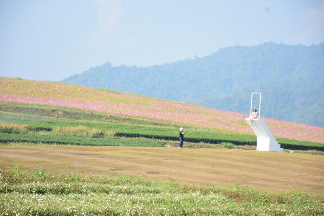 ประเดิมเที่ยวไร่สิงห์ปาร์ค-ยันเชียงรายเที่ยวได้