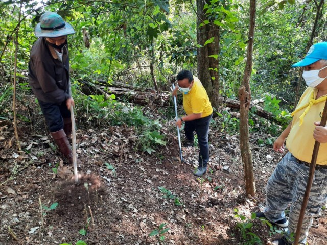 รองแม่ทัพภาค 3 ทำแนวกันไฟรอบพระตำหนักภูพิงค์