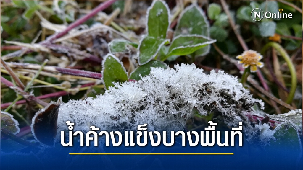 พยากรณ์อากาศวันนี้(8 ธ.ค.) ภาคเหนืออากาศหนาว เกิดน้ำค้างแข็งบางพื้นที่