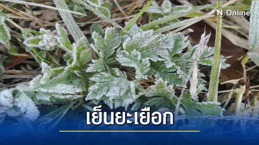 "ดอยอินทนนท์"เย็นยะเยือก-เกิดเหมยขาบต่อเนื่อง "ดอยอินทนนท์"เย็นยะเยือก-เกิดเหมยขาบต่อเนื่อง