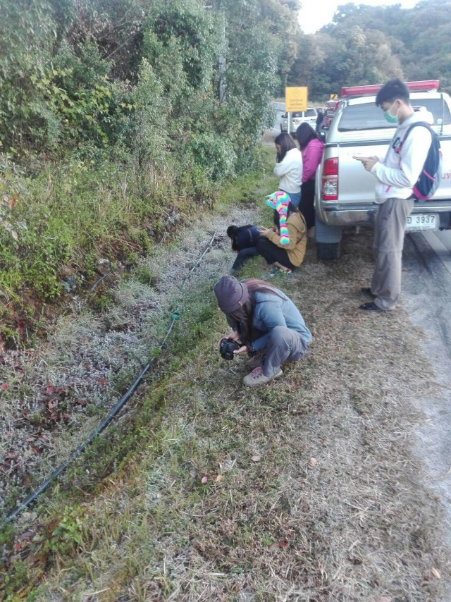 "ดอยอินทนนท์"เย็นยะเยือก-เกิดเหมยขาบต่อเนื่อง