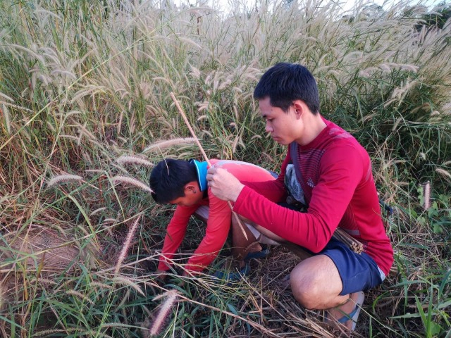 ชาวบ้านแห่ขุดปูล่าหนูนาอาหารพื้นบ้านของแซบอีสานหน้าหนาว