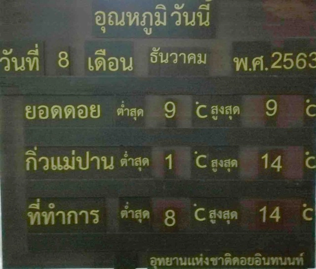 "ดอยอินทนนท์"เย็นยะเยือก-เกิดเหมยขาบต่อเนื่อง