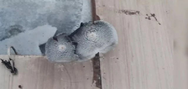 ซาร่า น้ำตาคลอ!! เปิดสภาพห้อง น้ำรั่วเข้าห้องจนเห็ดราขึ้น เจ้าตัวเผยเก็บเงินสร้างบ้านให้พ่อแม่