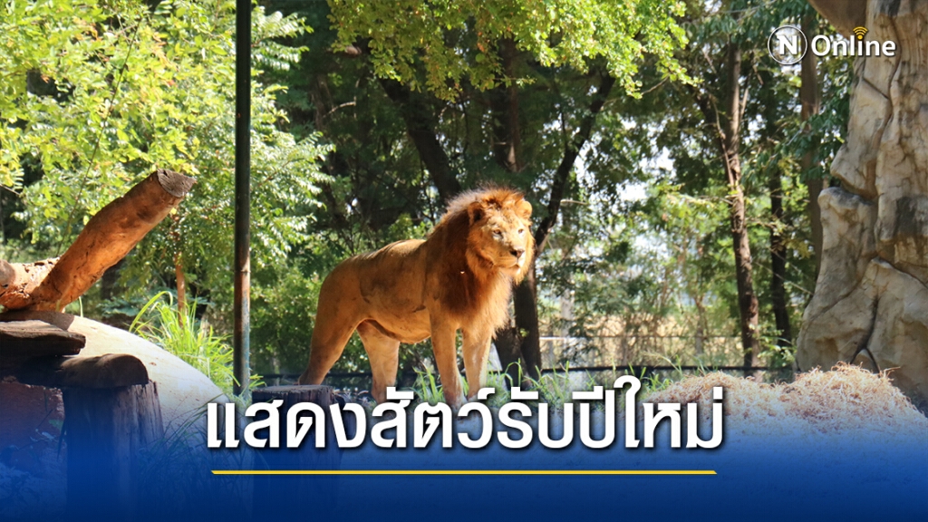สวนสัตว์โคราชจัดแสดงสัตว์เด่น3ชนิดจากทวีปแอฟริกา สวนสัตว์โคราชจัดแสดงสัตว์เด่น3ชนิดจากทวีปแอฟริกา