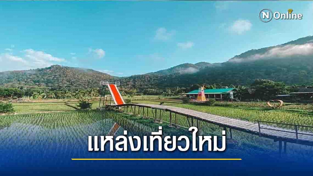 แหล่งเที่ยวใหม่ "สะพานข้าว"บ้านผาบ่อง แหล่งเที่ยวใหม่ "สะพานข้าว"บ้านผาบ่อง